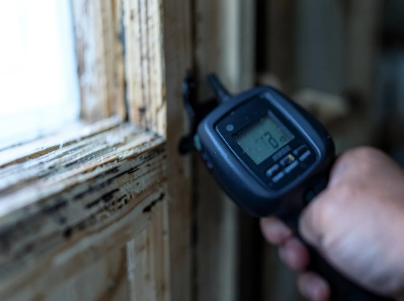 Moisture Inspection And Documentation in Twin Mountain, NH